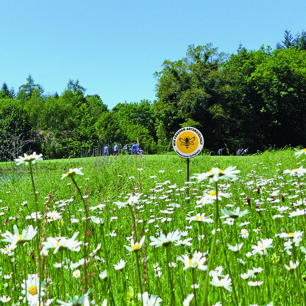Natur-Resort Bad Waldsee, Artenvielfalt auf dem Golfplatz, Bienen, Bienenvölker, Rote Liste Pflanzen, wilde Orchideen, Smaragdeidechsen, Kreuzottern, Natur-Lehrpfad, Rund-Wanderwege,  Kaffee, Restaurant, Vinothek, erlesene Weine, Bar, selbstgebackene Kuchen, Snacks, Mittagstisch, Sonnenterrasse, Gin - Greenkeeper's Cut, Bier vom Fass, kleine Gerichte, Burger, vegetarisch, vegan, Laktose frei, Gluten frei, Café-Restaurant Ausblick T-19, Restaurant im Hofgut