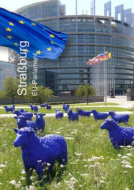 Blauschafe, Friedensschafe, ein Zeichen für den Frieden in Bad Waldsee vom Fuerstlichen Golf-Resort Bad Waldsee