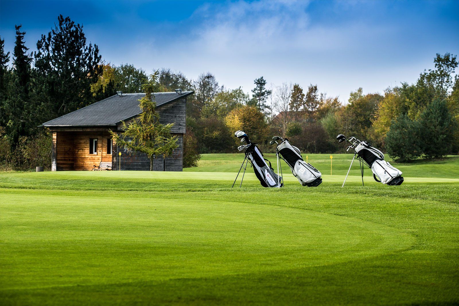 Natur-Resort Bad Waldsee, Artenvielfalt auf dem Golfplatz, Bienen, Bienenvölker, Rote Liste Pflanzen, wilde Orchideen, Smaragdeidechsen, Kreuzottern, Natur-Lehrpfad, Rund-Wanderwege, Kaffee, Restaurant, Vinothek, erlesene Weine, Bar, selbstgebackene Kuchen, Snacks, Mittagstisch, Sonnenterrasse, Gin - Greenkeeper's Cut, Bier vom Fass, kleine Gerichte, Burger, vegetarisch, vegan, Laktose frei, Gluten frei, Café-Restaurant Ausblick T-19, Restaurant im Hofgut