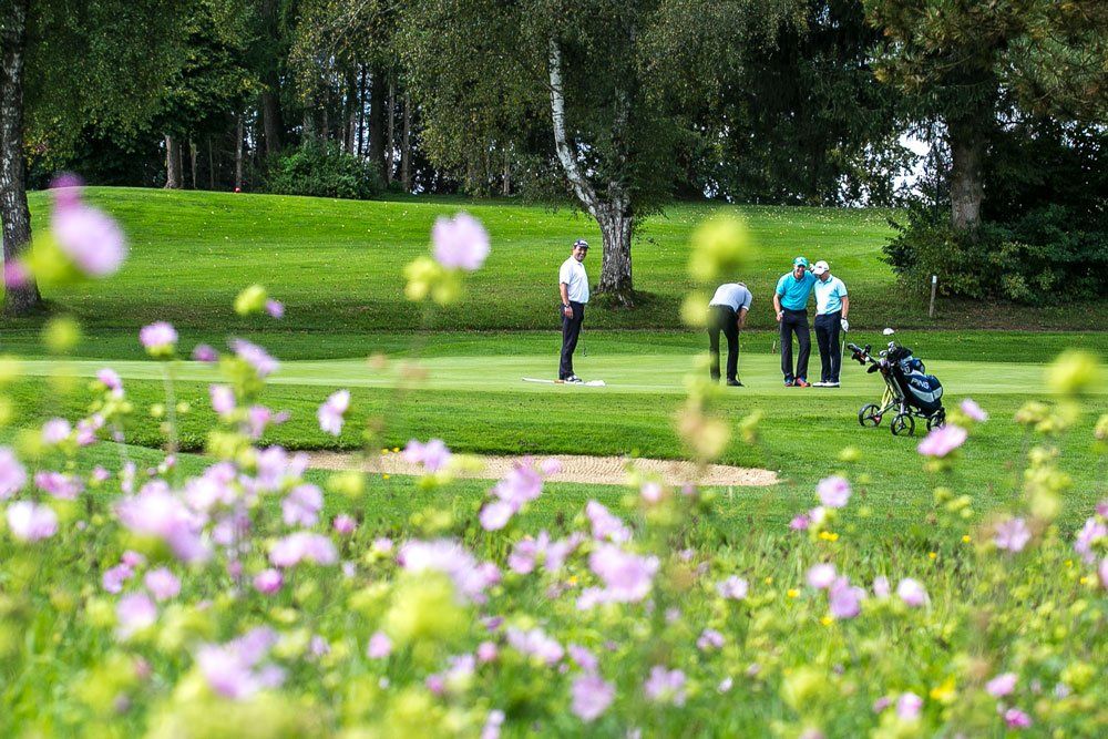 Natur-Resort Bad Waldsee, Artenvielfalt auf dem Golfplatz, Bienen, Bienenvölker, Rote Liste Pflanzen, wilde Orchideen, Smaragdeidechsen, Kreuzottern, Natur-Lehrpfad, Rund-Wanderwege, Kaffee, Restaurant, Vinothek, erlesene Weine, Bar, selbstgebackene Kuchen, Snacks, Mittagstisch, Sonnenterrasse, Gin - Greenkeeper's Cut, Bier vom Fass, kleine Gerichte, Burger, vegetarisch, vegan, Laktose frei, Gluten frei, Café-Restaurant Ausblick T-19, Restaurant im Hofgut