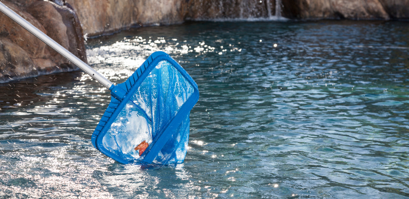 Pool Skim surface debris
