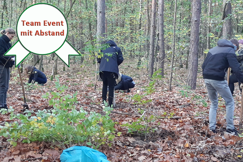 Bäume pflanzen Green Event