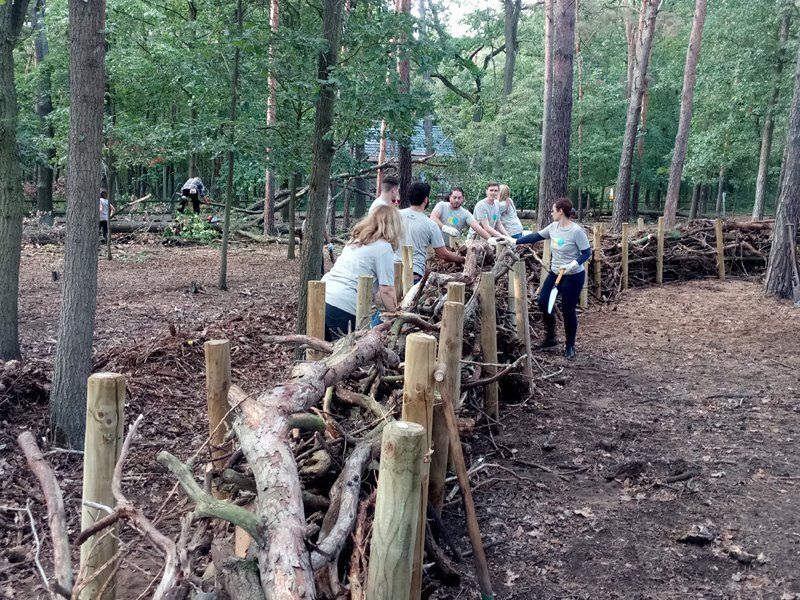Benjeshecke Teamprogramm GoGreen Berlin
