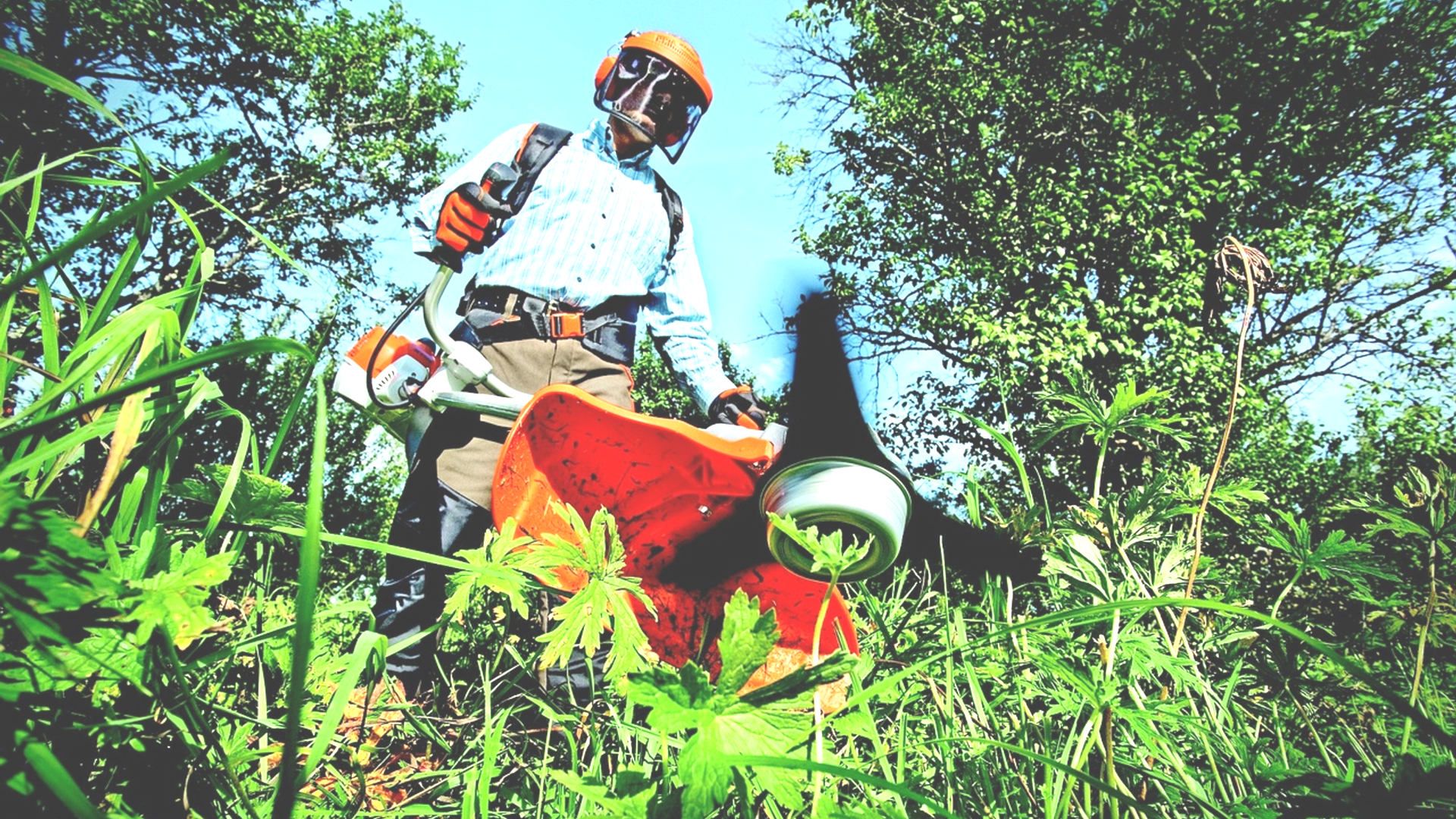 Ein Gartenlandschaftsbauer der das Gras trimmt.