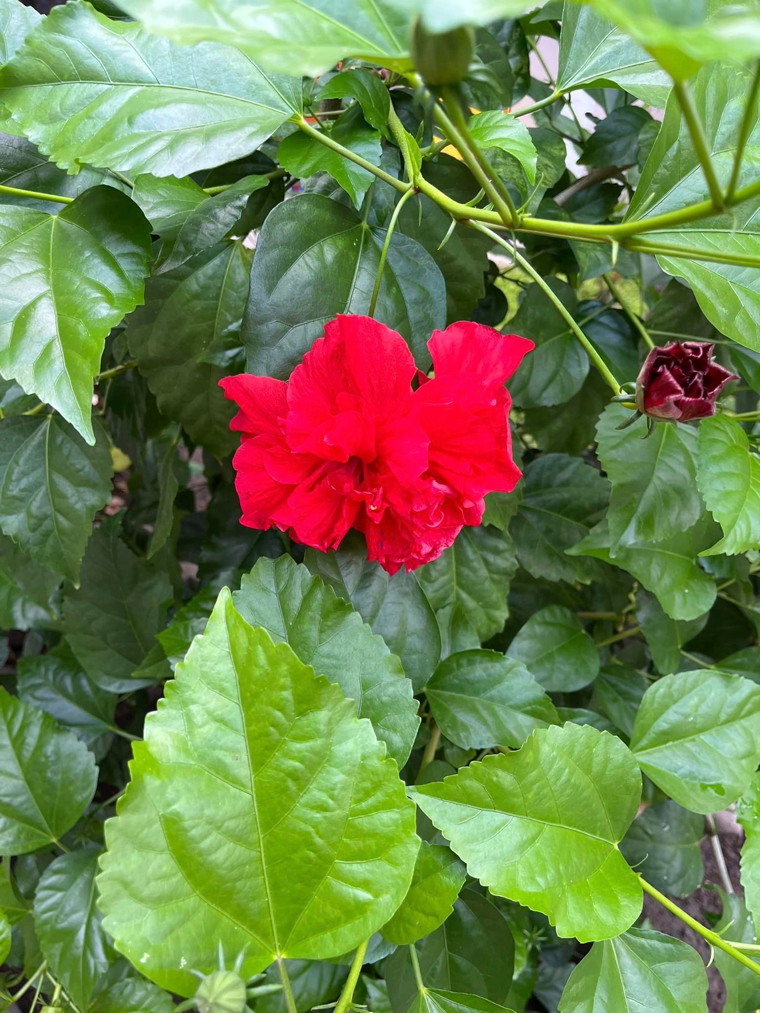 Current Events & Courses (with MSE registration)