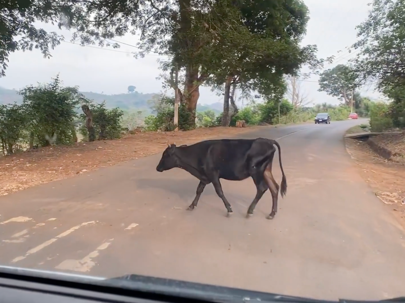 Current Events & Courses