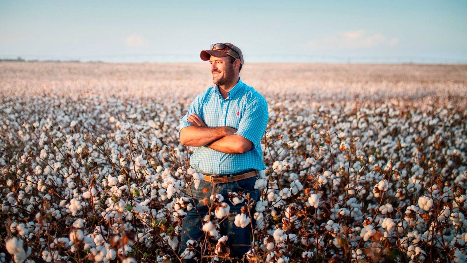 Learn how we support rural growth through community and economic development. Man standing in a cotton field, representing rural community and economic development.