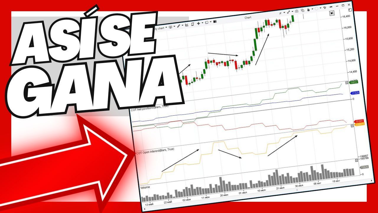 ?Indicador INFORME COT + Open Interest para Metatrader