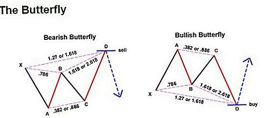 Patrón Armónico Butterfly