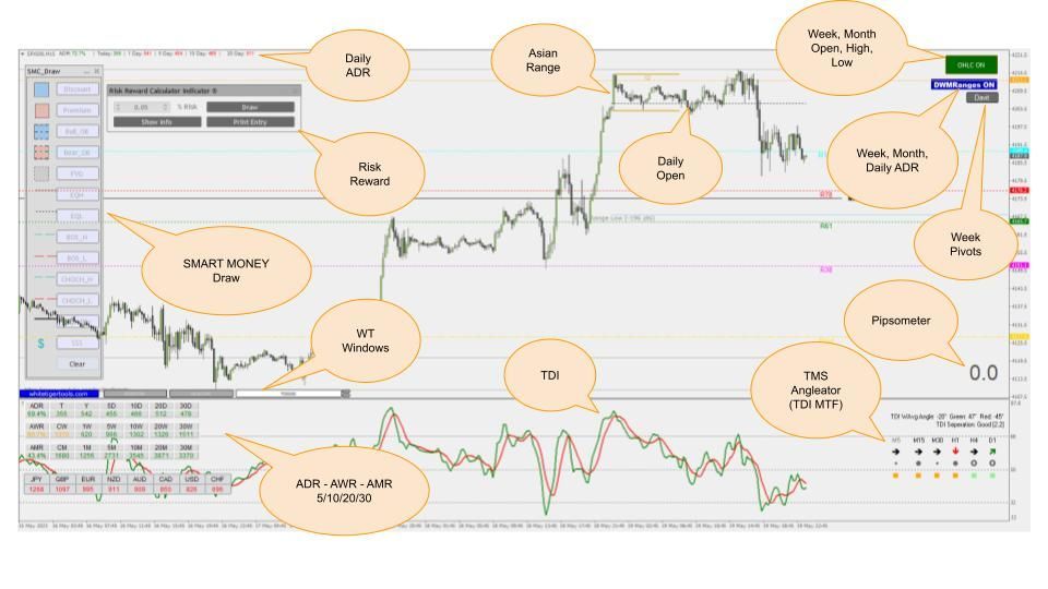 SMART MONEY TEMPLATE ADR SMART MONEY TEMPLATE ADR