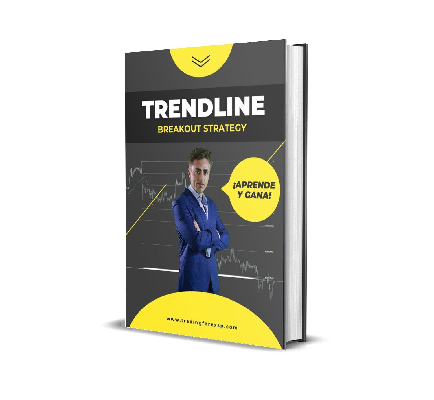 Trendline Breakout Strategy Trendline Breakout Strategy