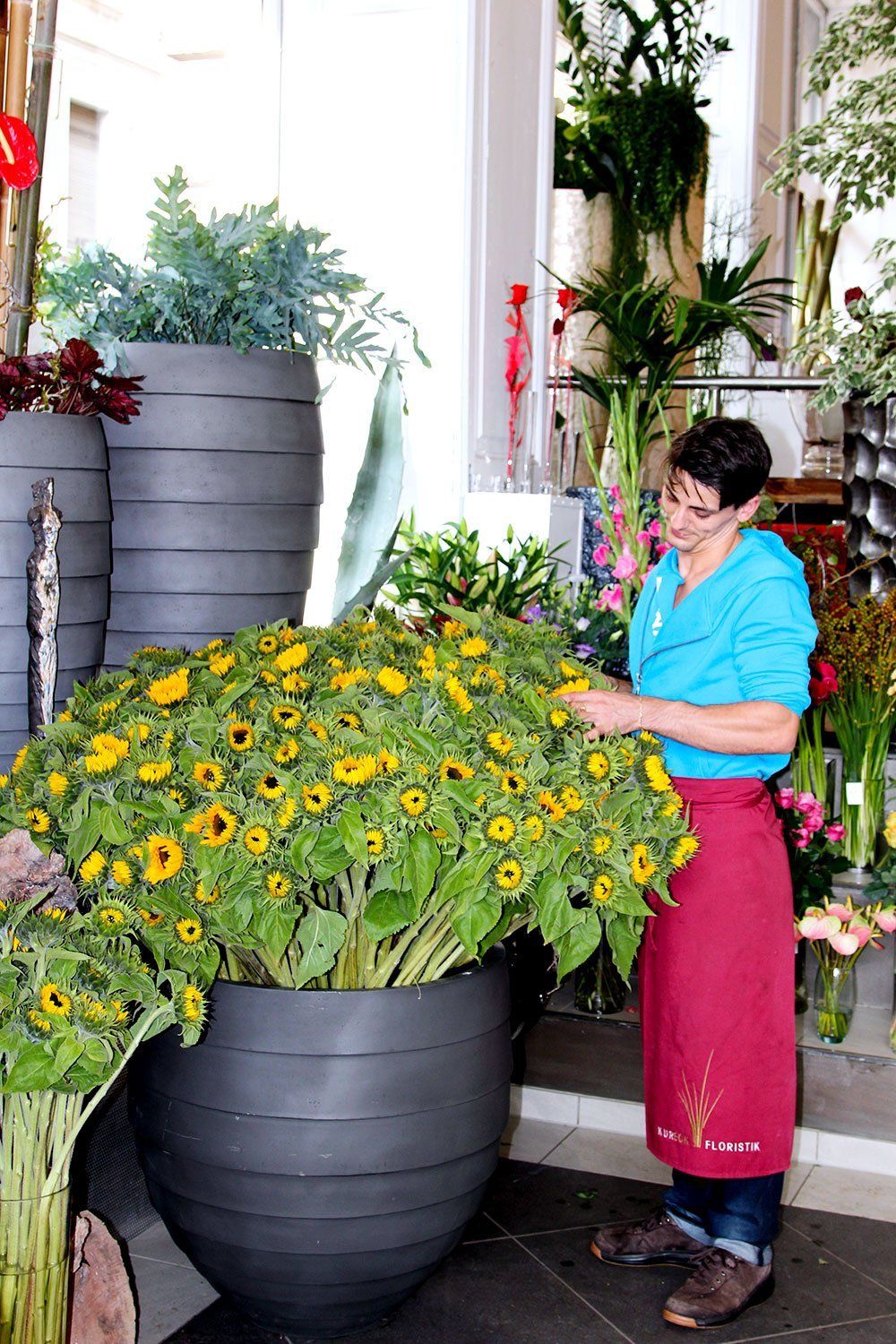 Sonnenblumen