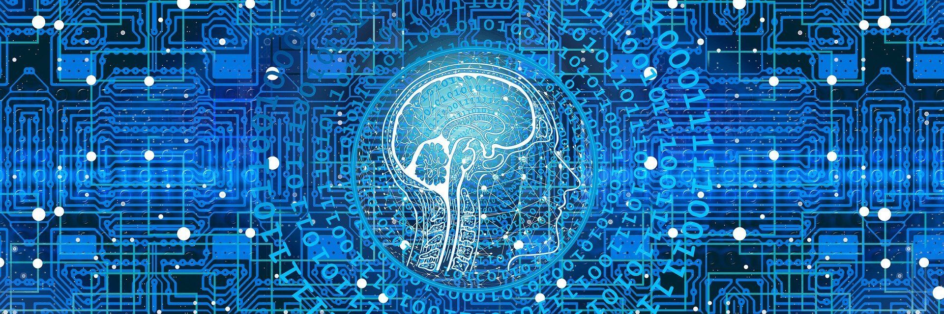 Reserva Cognitiva y EM