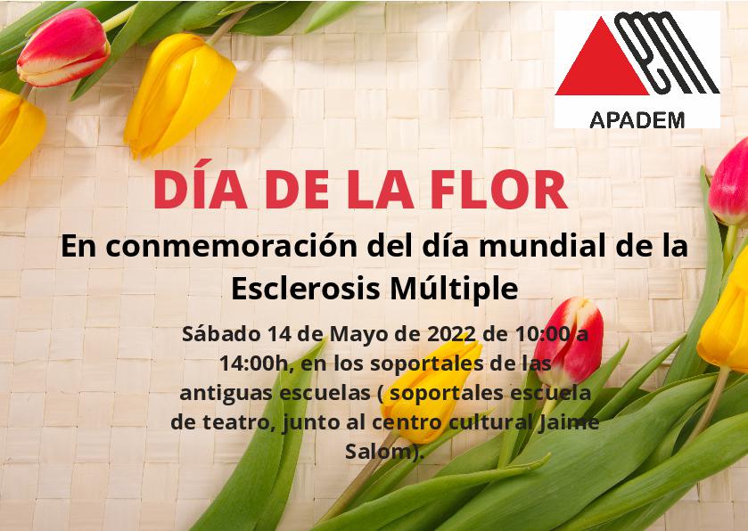 Dia de la flor