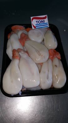 Huevos de chocos