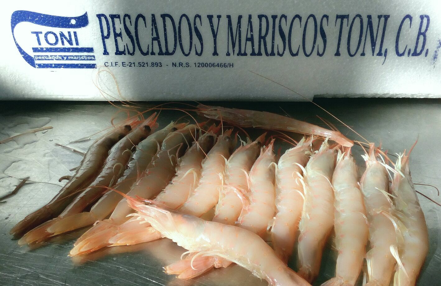 Gambas Blancas de Huelva