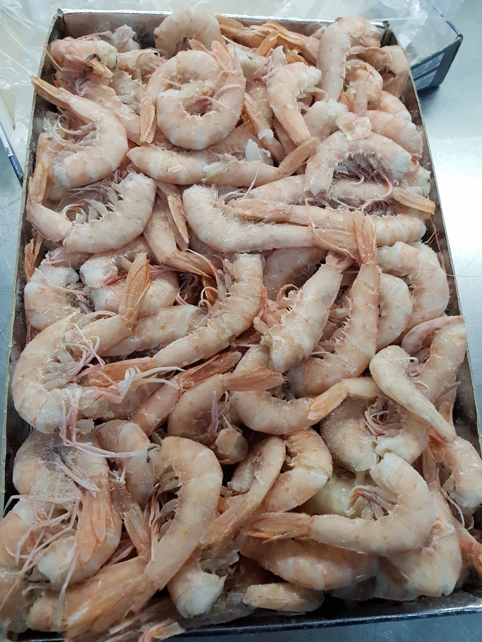 Colas de gambas