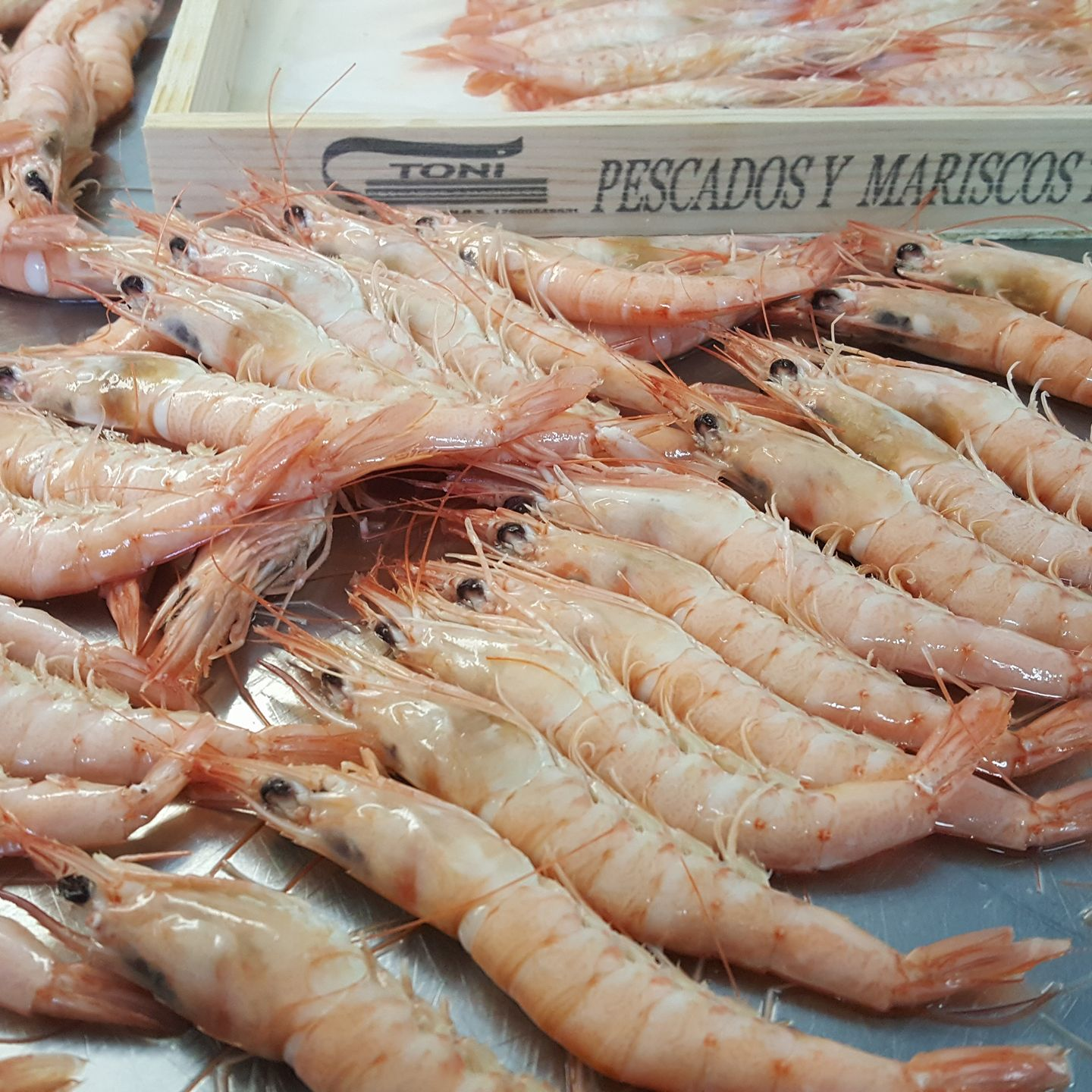 Cocer gambas
