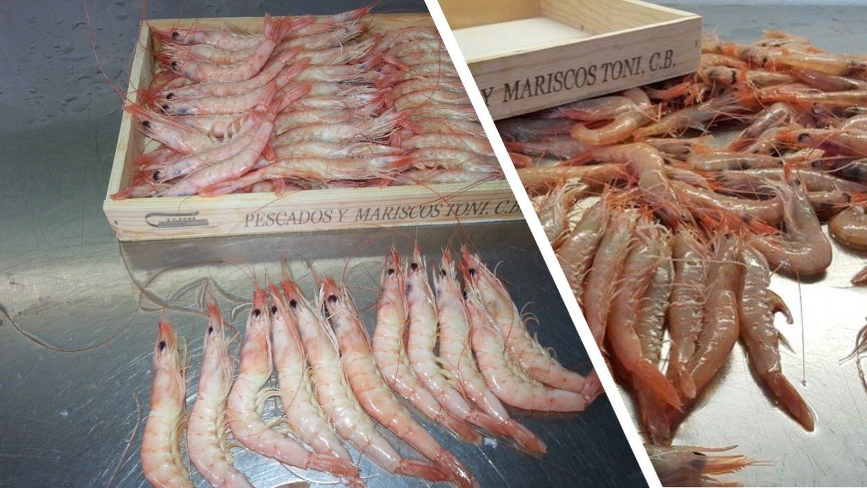 cocer gambas