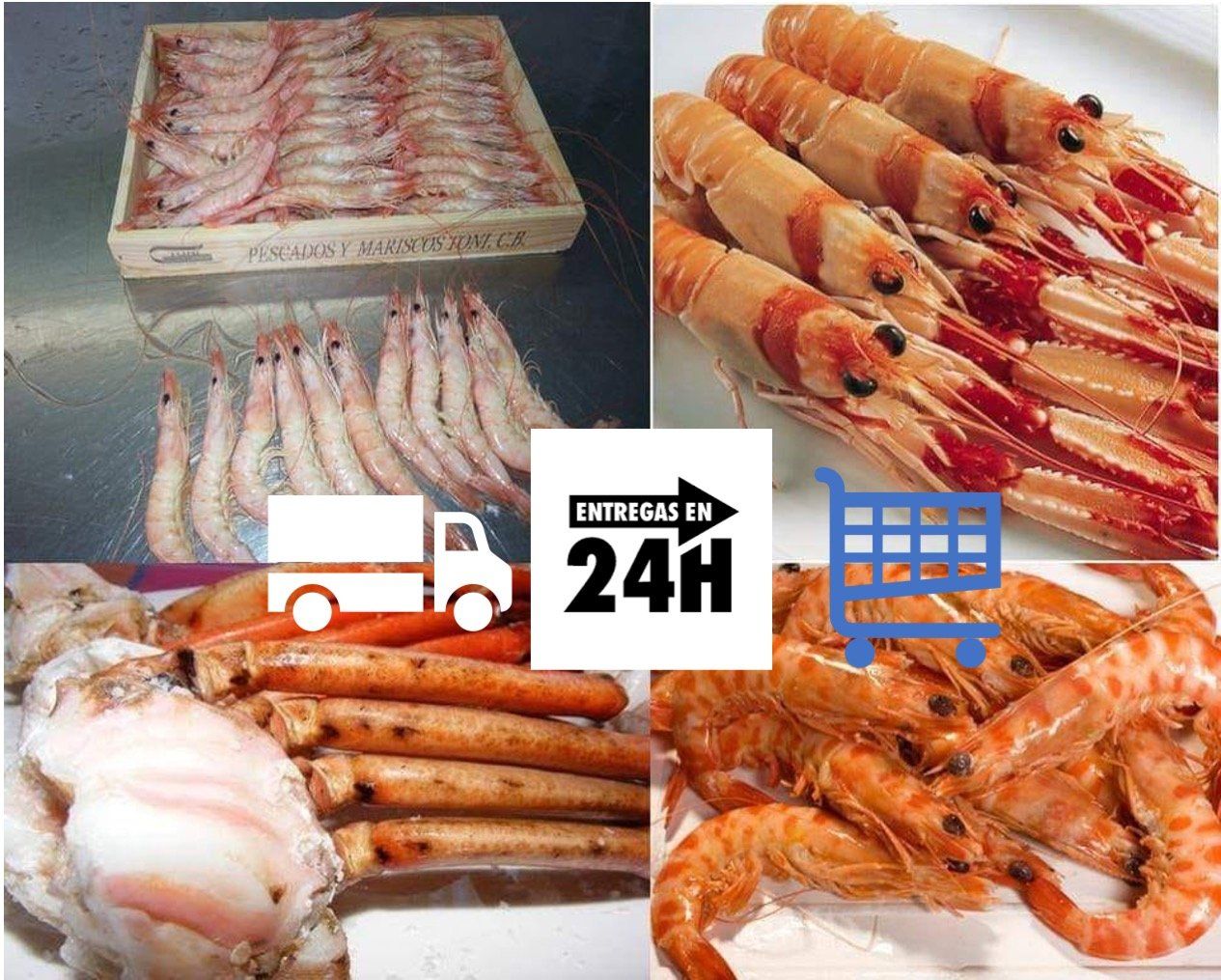 Mariscos online