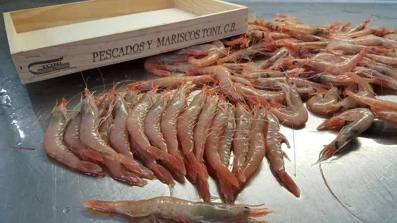 gambas blancas de Huelva