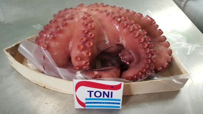 Pulpo cocido