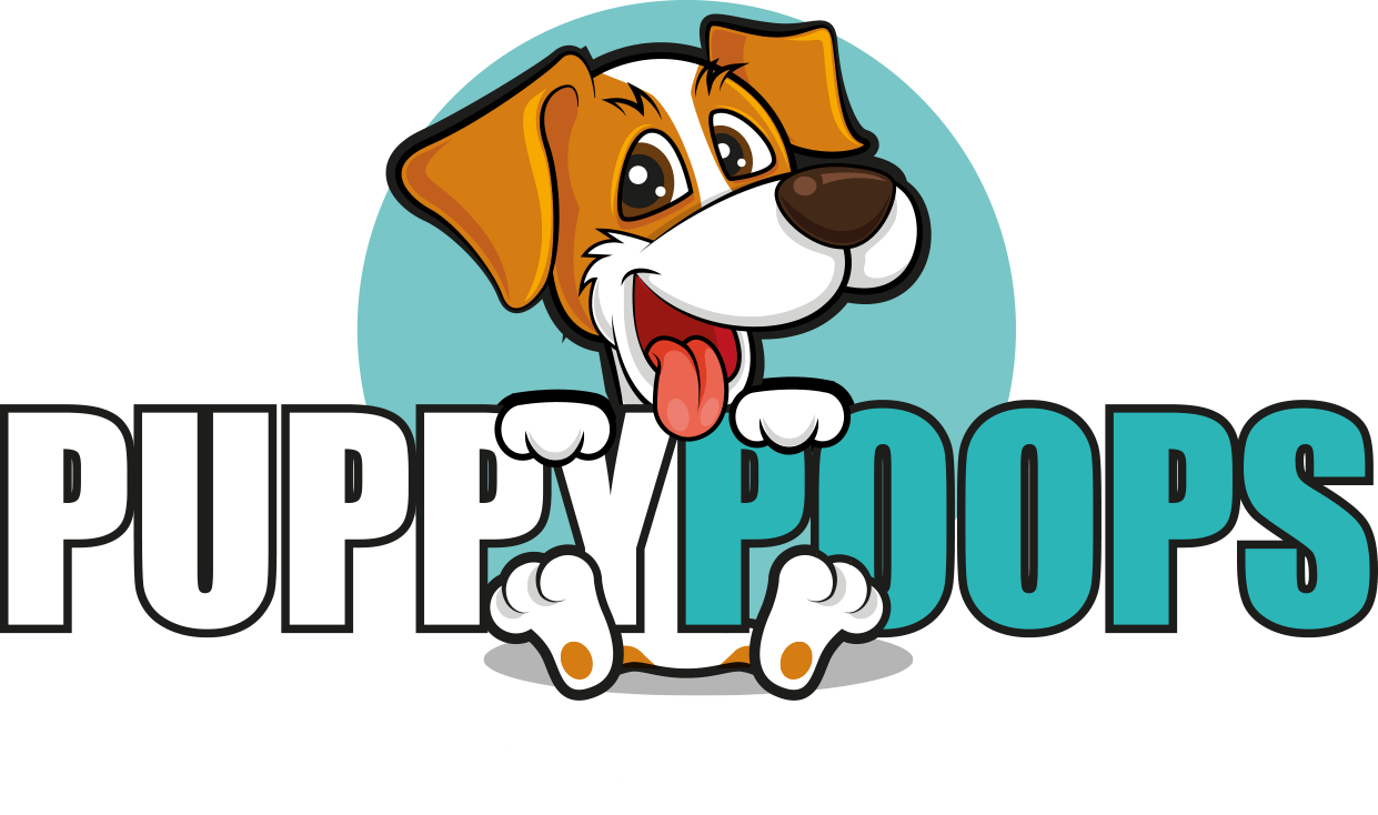Puppypoops Dog Walking in Totnes