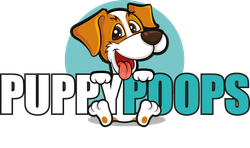 Puppypoops Dog Walking in Totnes