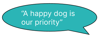 Puppypoops Dog Walking