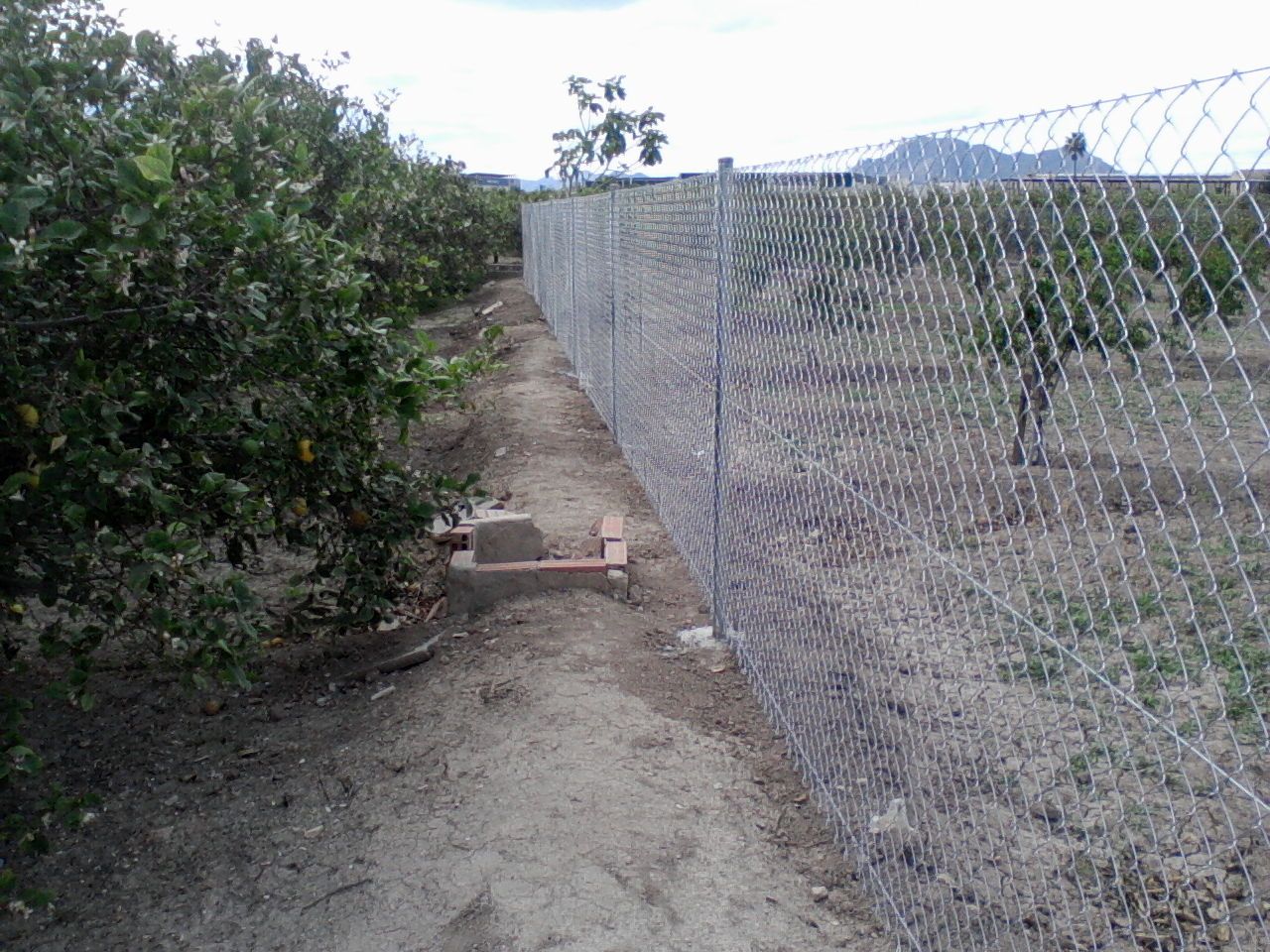 Vallado de parcela en Almoradí con malla de simple torsión altura 1.75.