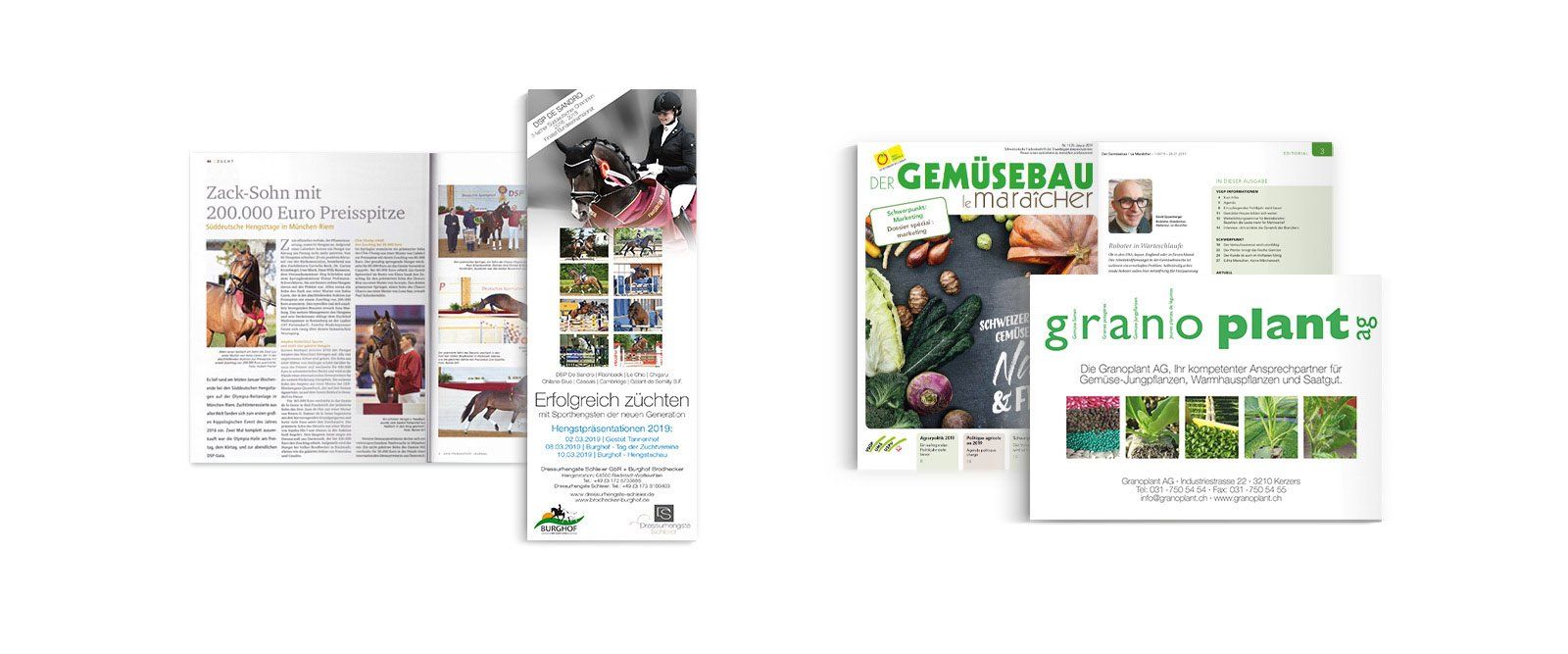 ABC creativ service, Andrea Bürgin, Anzeigen Design, Anzeigen Gestaltung, Dressurhengste Schleier, Granoplant AG,