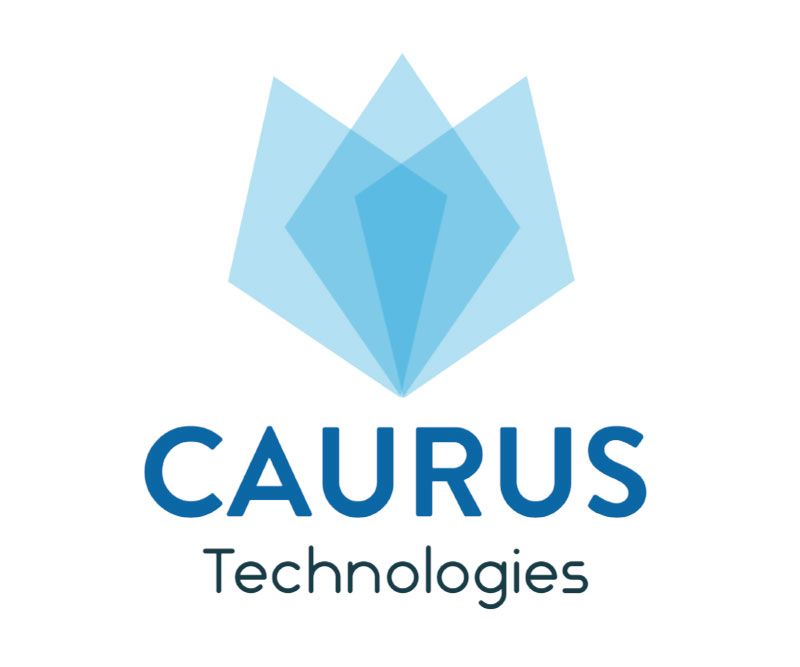 caurus technologies, waldbrandbekämpfung, annette wiedenbach, flyer, power point vorlagen, design, andrea bürgin, abc creativ service,