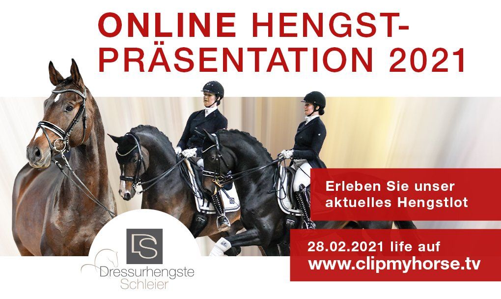 online banner, online grafiken, online werbemitel, online kampagnen, grafik design, abc creativ service, andrea bürgin, seeheim-jugenheim, darmstadt