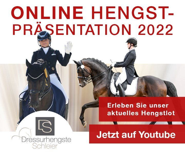 Dressurhengste Schleier, Online-Werbebanner, Design, Gestaltung, ABC creativ service, Andrea Bürgin,