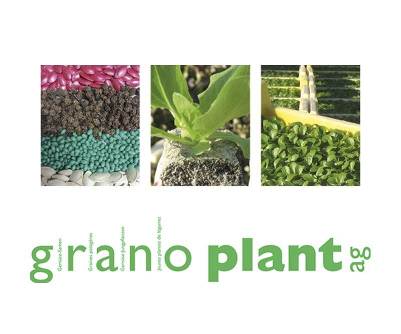 granoplant, gemüsejungpflanzen, saatgut, grafik design, abc creativ service, andrea bürgin, seeheim-jugenheim,