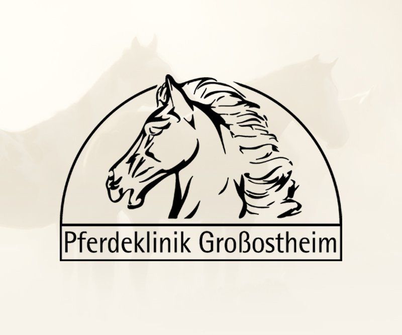 pferdeklinik großostheim, broschüre, grafik design, andrea bürgin, abc creativ service, seeheim-jugenheim,