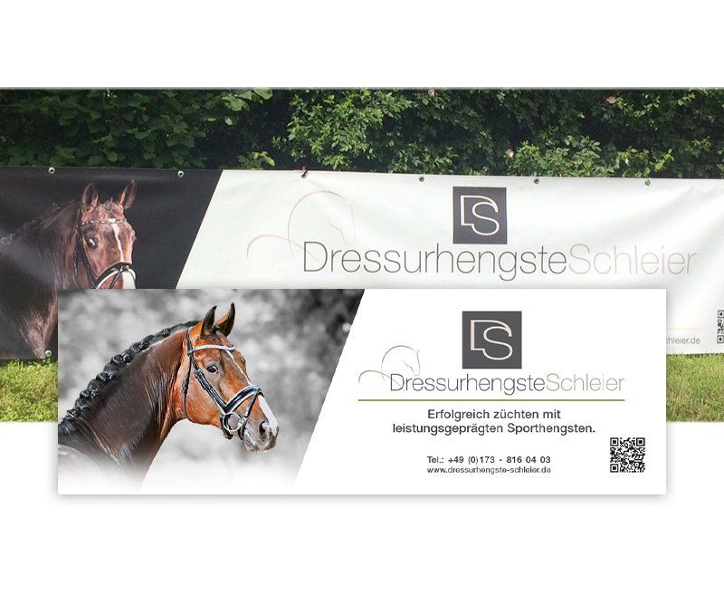 Dressurhengste Schleier, Anzeigen, Design, Gestaltung, ABC creativ service, Andrea Bürgin,