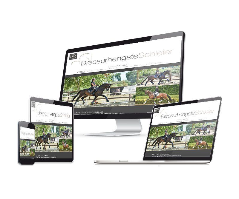 Dressurhengste Schleier, Webdesign, Corporate Design, Logo-Design, Briefpapier, Visitenkarten, Poster, Flyer, Kataloge, Fahnen, Design, ABC creativ service, Andrea Bürgin