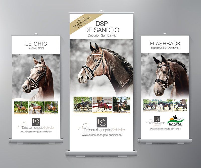 Dressurhengste Schleier, Roll-Up Display, Design, Gestaltung, ABC creativ service, Andrea Bürgin,