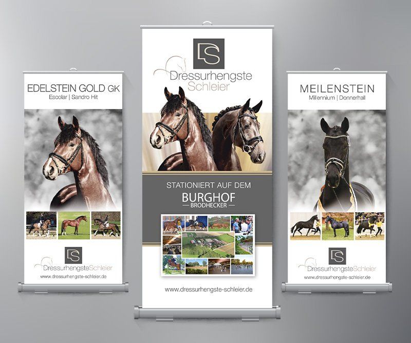 Dressurhengste Schleier, Anzeigen, Design, Gestaltung, ABC creativ service, Andrea Bürgin, rollup display,