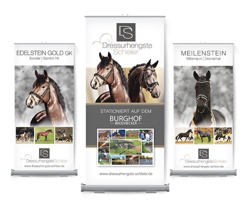 Dressurhengste Schleier, Warenträger, Roll-Up Display, Deko, Displays, Poster, RollUp, Fahnen, Stoffbanner, Bodenkleber, Thekendisplay, Banner, Standee, Palettendisplays, Gestaltung, ABC creativ service, Andrea Bürgin