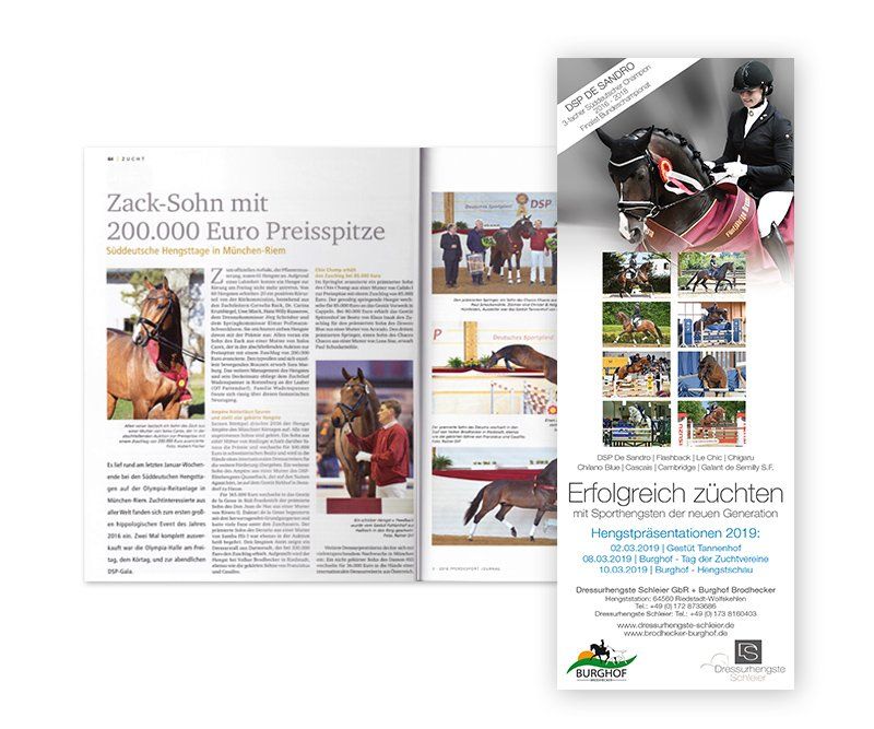 Dressurhengste Schleier, Anzeigen, Design, Gestaltung, ABC creativ service, Andrea Bürgin,