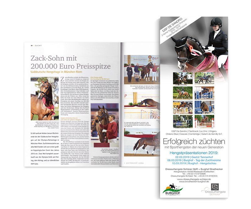 Dressurhengste Schleier, Anzeigen-Design, ABC creativ service, Andrea Bürgin