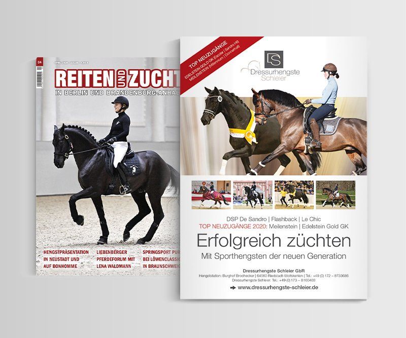 Dressurhengste Schleier, Anzeigen, Design, Gestaltung, ABC creativ service, Andrea Bürgin,