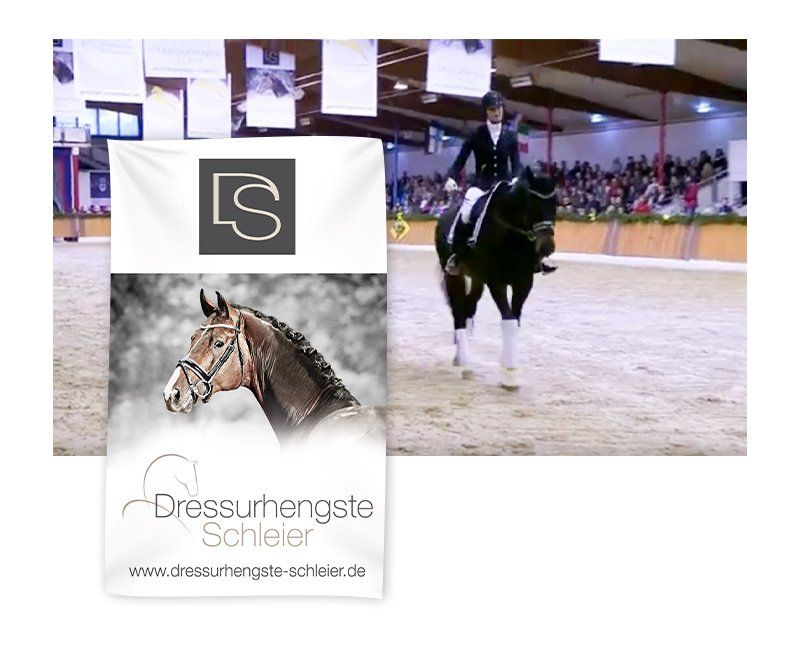 fahne, textilbanner, Dressurhengste Schleier, Anzeigen, Design, Gestaltung, ABC creativ service, Andrea Bürgin,