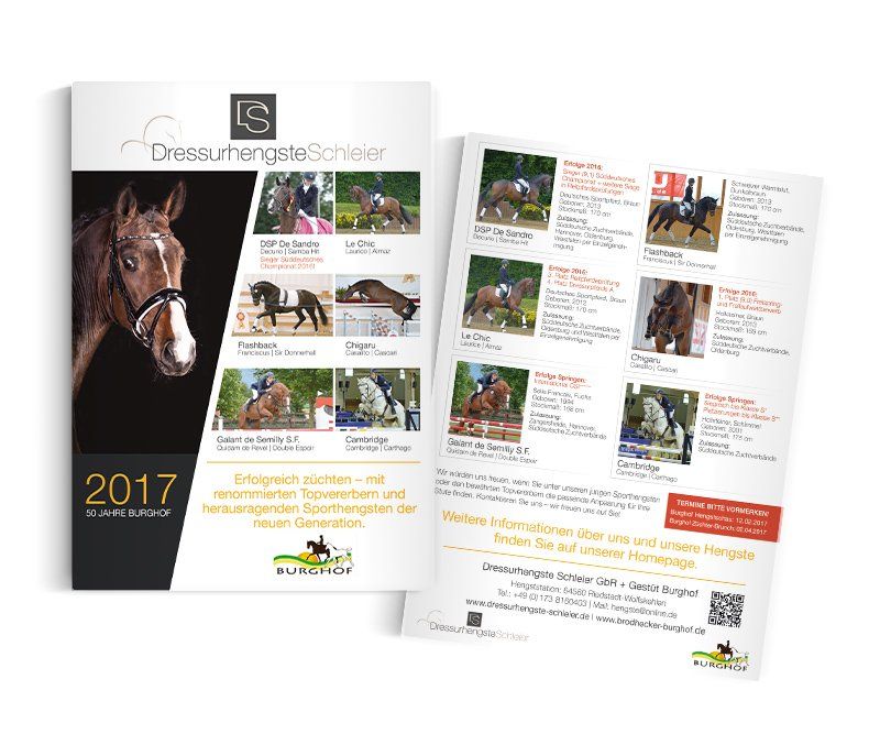 Dressurhengste Schleier, Anzeigen, Design, Gestaltung, ABC creativ service, Andrea Bürgin,