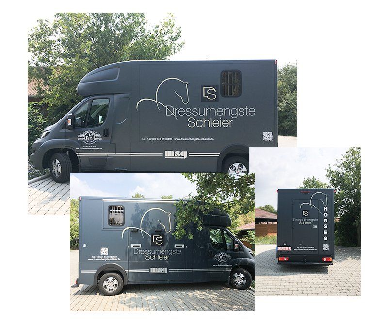 Dressurhengste Schleier, Autobeschriftung, Autowerbung, Design, Gestaltung, ABC creativ service, Andrea Bürgin,