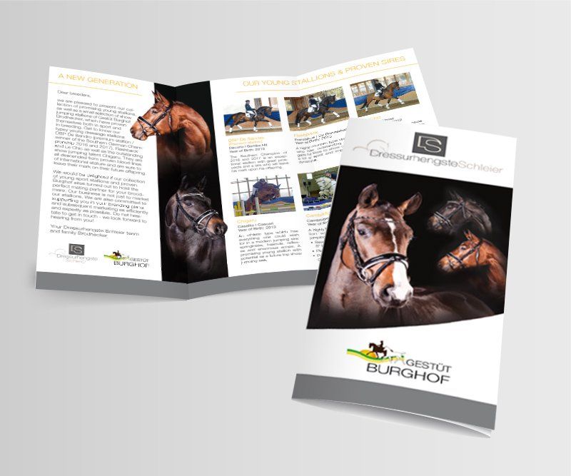 Dressurhengste Schleier, Anzeigen, Design, Gestaltung, ABC creativ service, Andrea Bürgin,