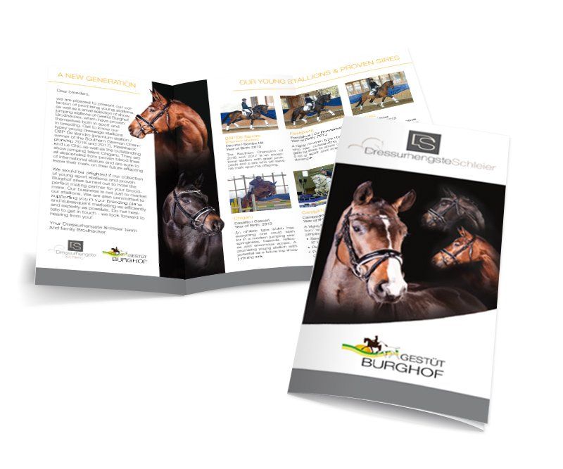 dressurhengste schleier, joachim schleier, flyer-gestaltung, flyer-design, andrea bürgin, abc creativ service, seeheim-jugenheim,