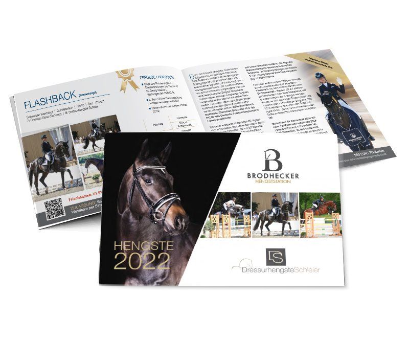 Dressurhengste Schleier, Katalog, Flyer, Design, Gestaltung, ABC creativ service, Andrea Bürgin,